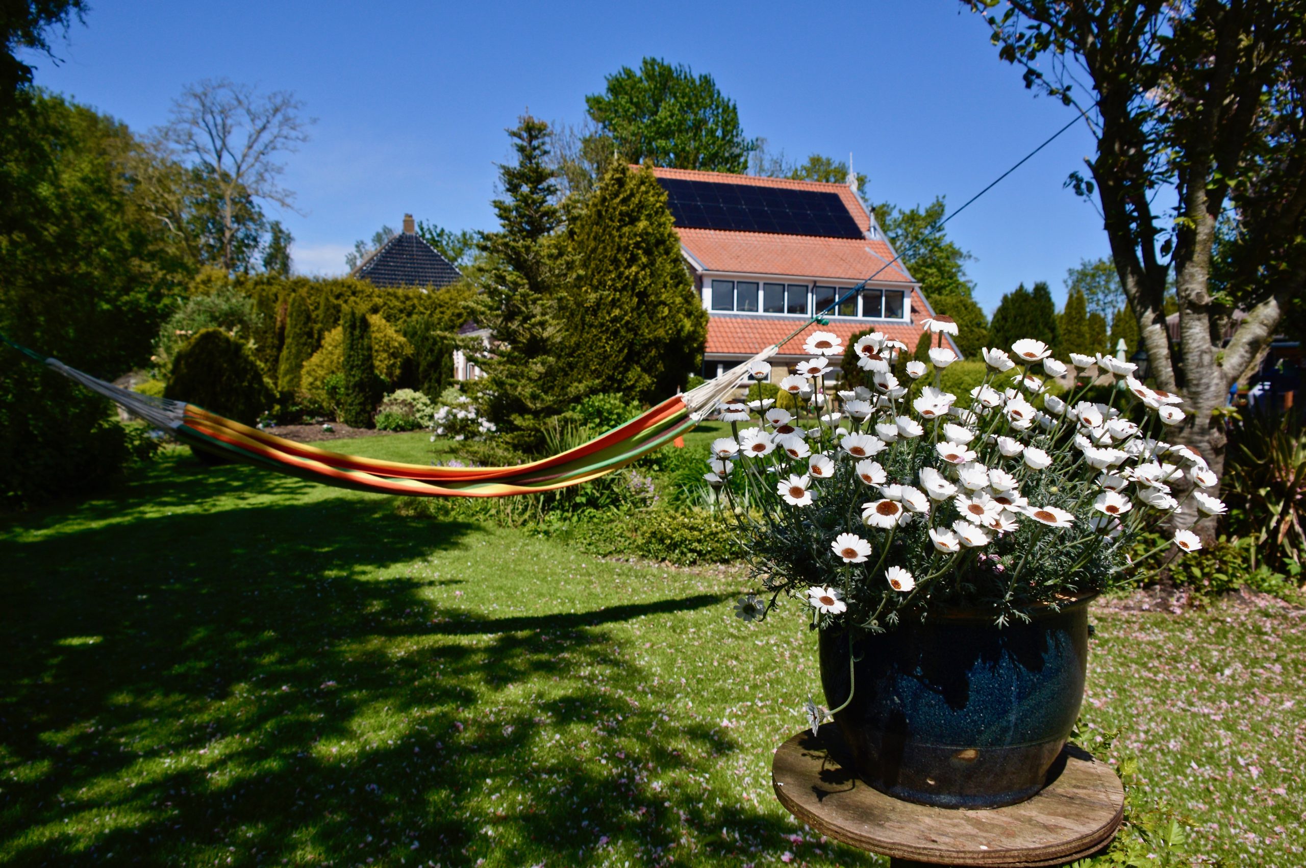 ilse de ruijter Terras vakantiehuisjes