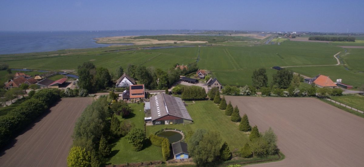 Drone achter in tuin 3